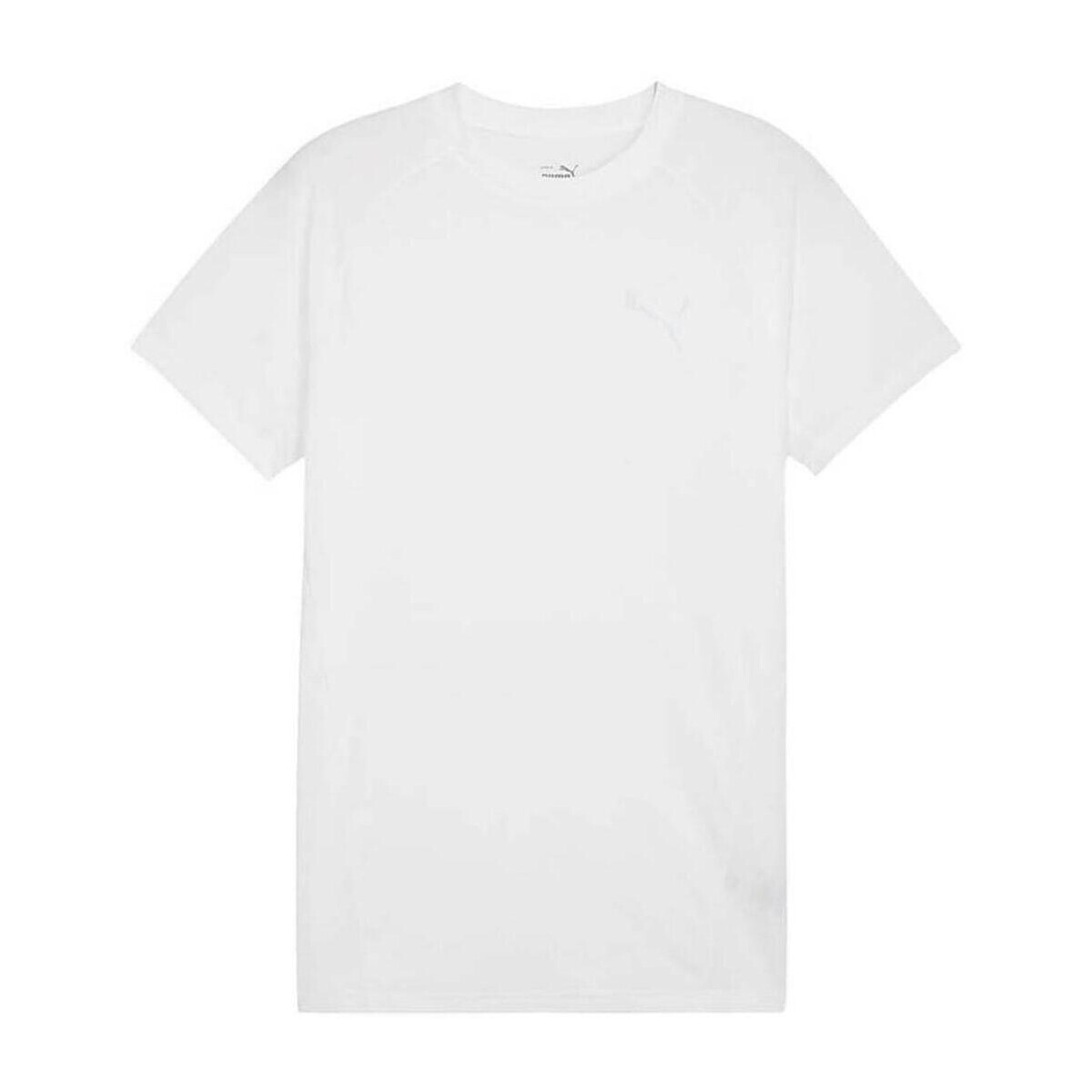 Kleidung Herren T-Shirts Puma  Weiss