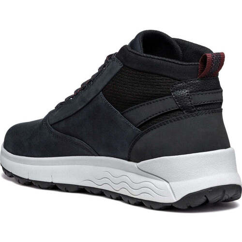 Geox  Blau