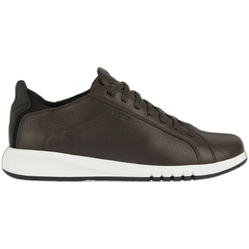 Geox  Sneaker Baskets  Aerantis günstig online kaufen