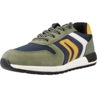 Schuhe Jungen Sneaker Geox J ALBEN Grün