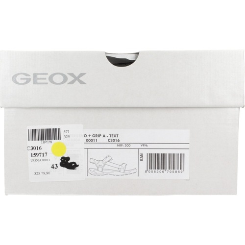 Geox U TERRENO + GRIP Grün