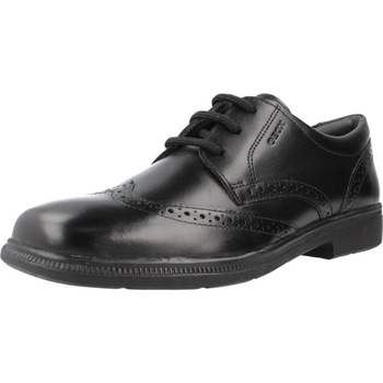 Schuhe Herren Derby-Schuhe Geox JR FEDERICO Schwarz