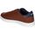 Schuhe Herren Multisportschuhe Levi's BELL Braun
