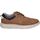 Schuhe Herren Derby-Schuhe & Richelieu Xti 143760 Braun