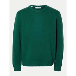 Kleidung Herren Pullover Selected 16094643 CODY-RAIN FOREST Grün