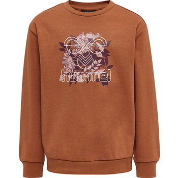 Kleidung Mädchen Sweatshirts hummel Sweatshirt fille  Liva Braun