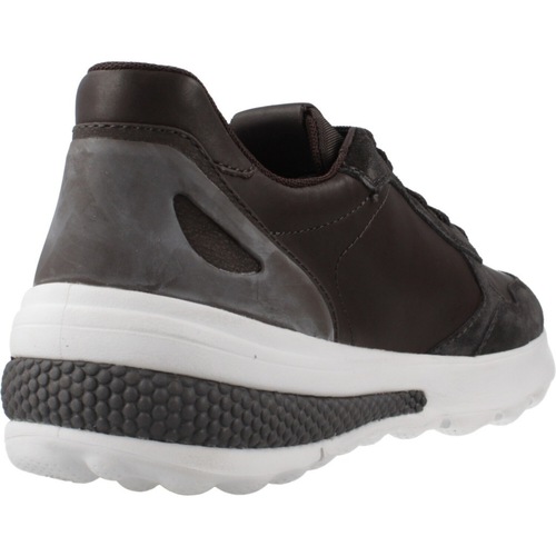 Geox U SPHERICA ACTIF Braun
