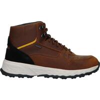 Schuhe Herren Stiefel Geox U36F0D 00035 U STERRATO B ABX U36F0D 00035 U STERRATO B ABX