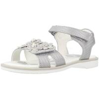 Schuhe Mädchen Sandalen / Sandaletten Chicco CETRA Grau