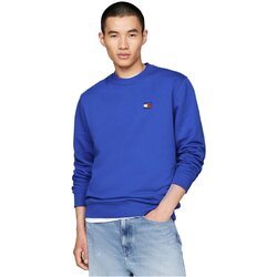 Kleidung Herren Sweatshirts Tommy Jeans DM0DM17986 Blau