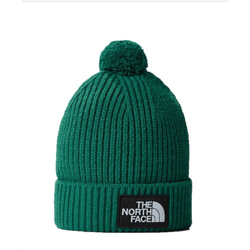 Accessoires Damen Schirmmütze The North Face NF0A3FN3 Grün
