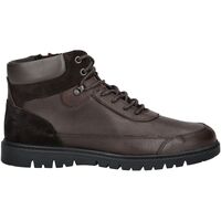 Schuhe Herren Boots Geox Stiefelette Braun