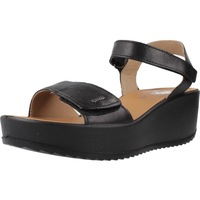 Schuhe Damen Sandalen / Sandaletten IgI&CO 7665600IG Schwarz