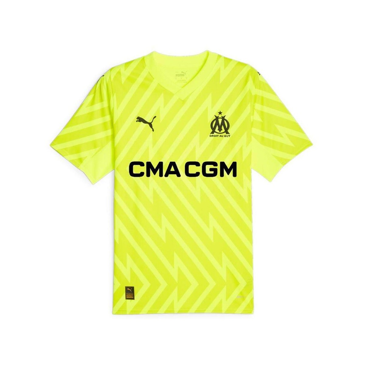 Kleidung Herren T-Shirts & Poloshirts Puma 771360-97 Gelb