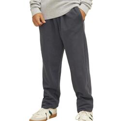 Kleidung Jungen Jogginghosen Jack & Jones 12274794-CAK Grau