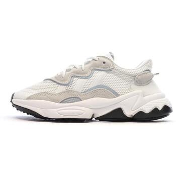 Schuhe Jungen Sneaker Low adidas Originals EE7773 Grau