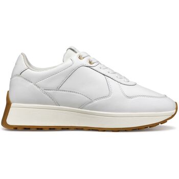 Geox  Sneaker Baskets femme  Amabel A günstig online kaufen