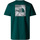 Kleidung Herren T-Shirts & Poloshirts The North Face  Grün