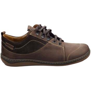 Schuhe Herren Derby-Schuhe & Richelieu Mephisto Racer Braun