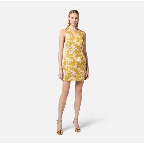 Kleidung Damen Kleider Elisabetta Franchi AB75951E2-DJ4 