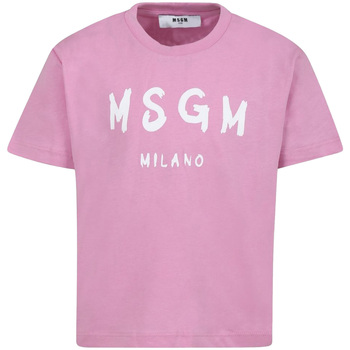 Msgm 