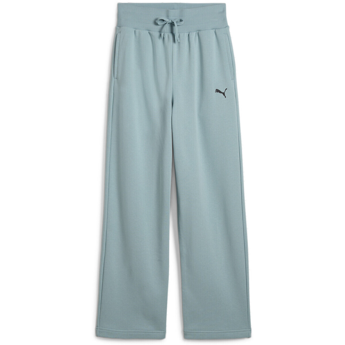 Kleidung Mädchen Jogginghosen Puma Jogging jambe large fille  Essentials Relaxed TR Grün