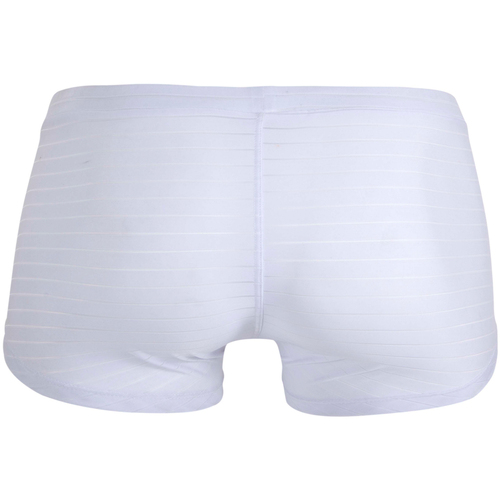 Clever Boxer Sainted Weiss