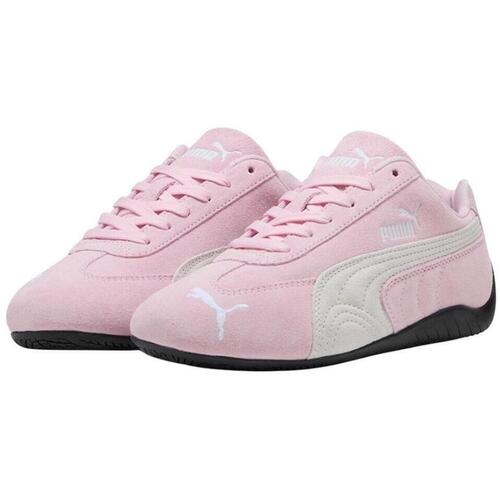 Puma  Rosa