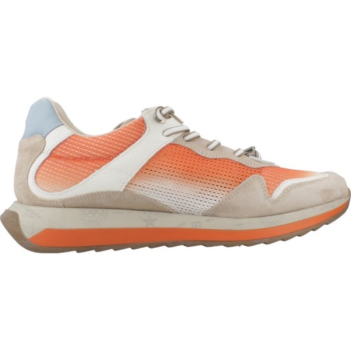 Cetti C1382 V25 Orange