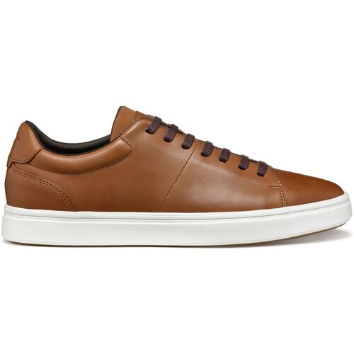 Geox Baskets  Baltmoore C Braun