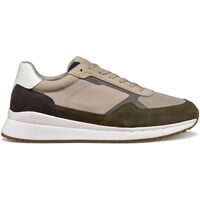 Schuhe Herren Sneaker Geox Baskets  Branthon A Grün