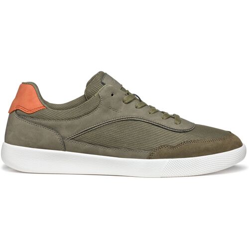 Geox Baskets  Rieti A Grün