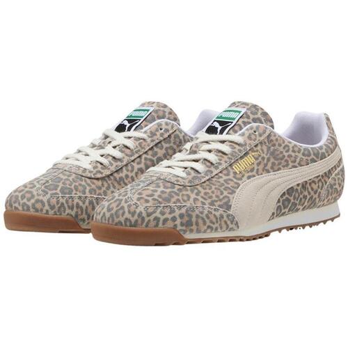 Puma  Grau