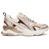 Schuhe Damen Sneaker Steve Madden Baskets femme  Speedster-E Grau