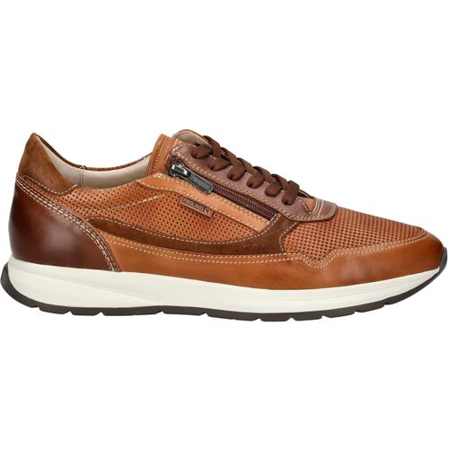 Schuhe Herren Sneaker Low Pikolinos Sneaker Braun