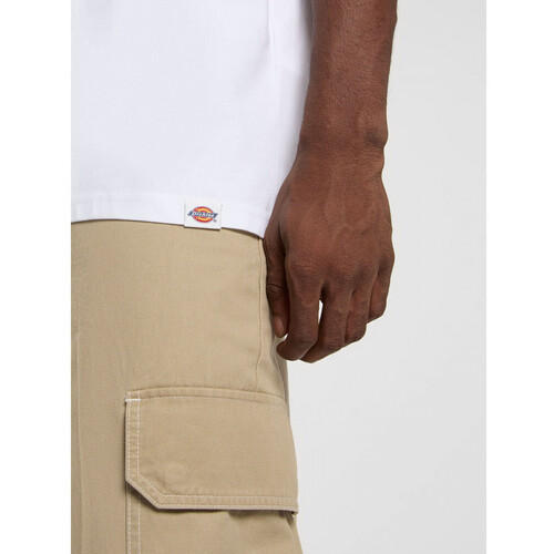 Dickies snake ss tee Weiss
