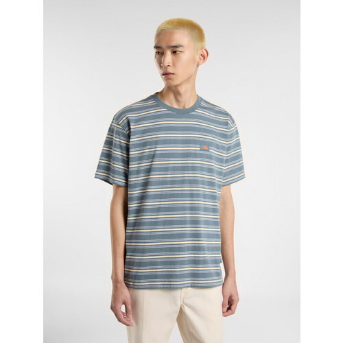 Dickies Lewistown stripe ss tee Grau