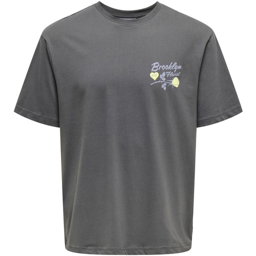 Kleidung Herren T-Shirts Only & Sons  T-Shirt RYLAN Kurzarmshirt Grau
