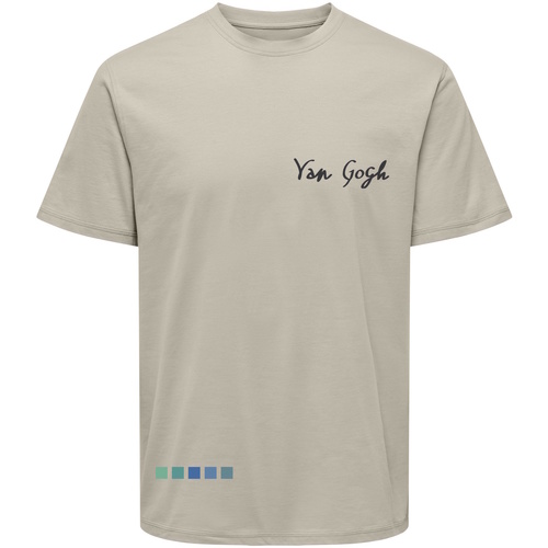 Kleidung Herren T-Shirts Only & Sons  T-Shirt VAN GOGH Kurzarmshirt Grau