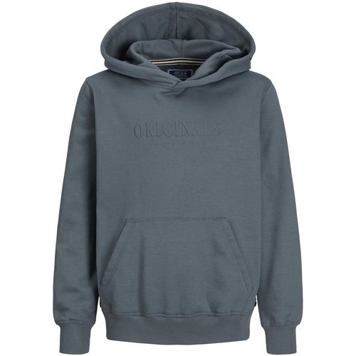Kleidung Jungen Sweatshirts Jack & Jones Kapuzenpullover FREDERIKSBERG Hoodie Grau