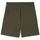 Kleidung Herren Shorts / Bermudas Puma 525958-80 Grün