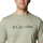 Kleidung Herren T-Shirts Columbia CSC Basic Logo SS Tee Grün