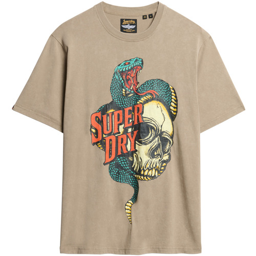 Kleidung Herren T-Shirts Superdry T-shirt ample graphique  Biker Rock Braun