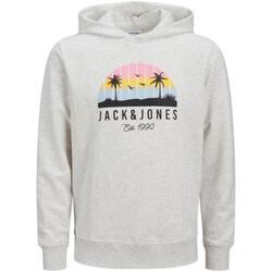 Kleidung Herren Sweatshirts Jack & Jones  Beige