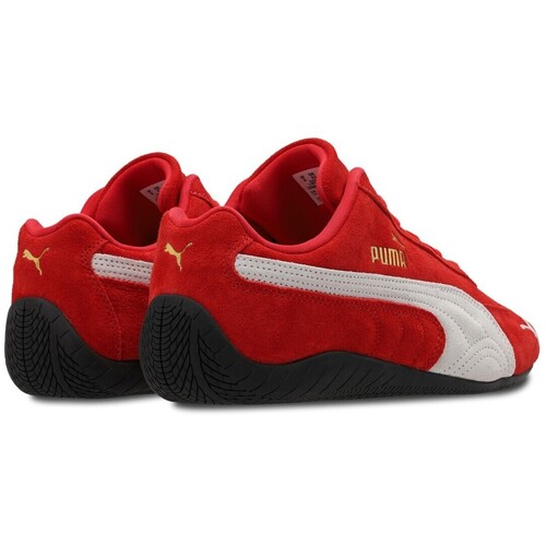 Puma  Rot