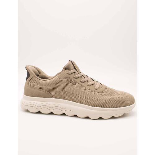 Schuhe Herren Sneaker Low Geox  Braun