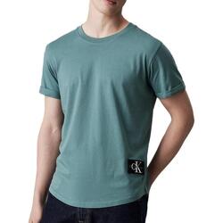 Kleidung Herren T-Shirts & Poloshirts Calvin Klein Jeans J30J323482 Grün