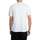 Kleidung Herren T-Shirts Dickies Mapleton T-Shirt Weiss