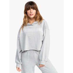 Kleidung Sweatshirts Roxy  Grau