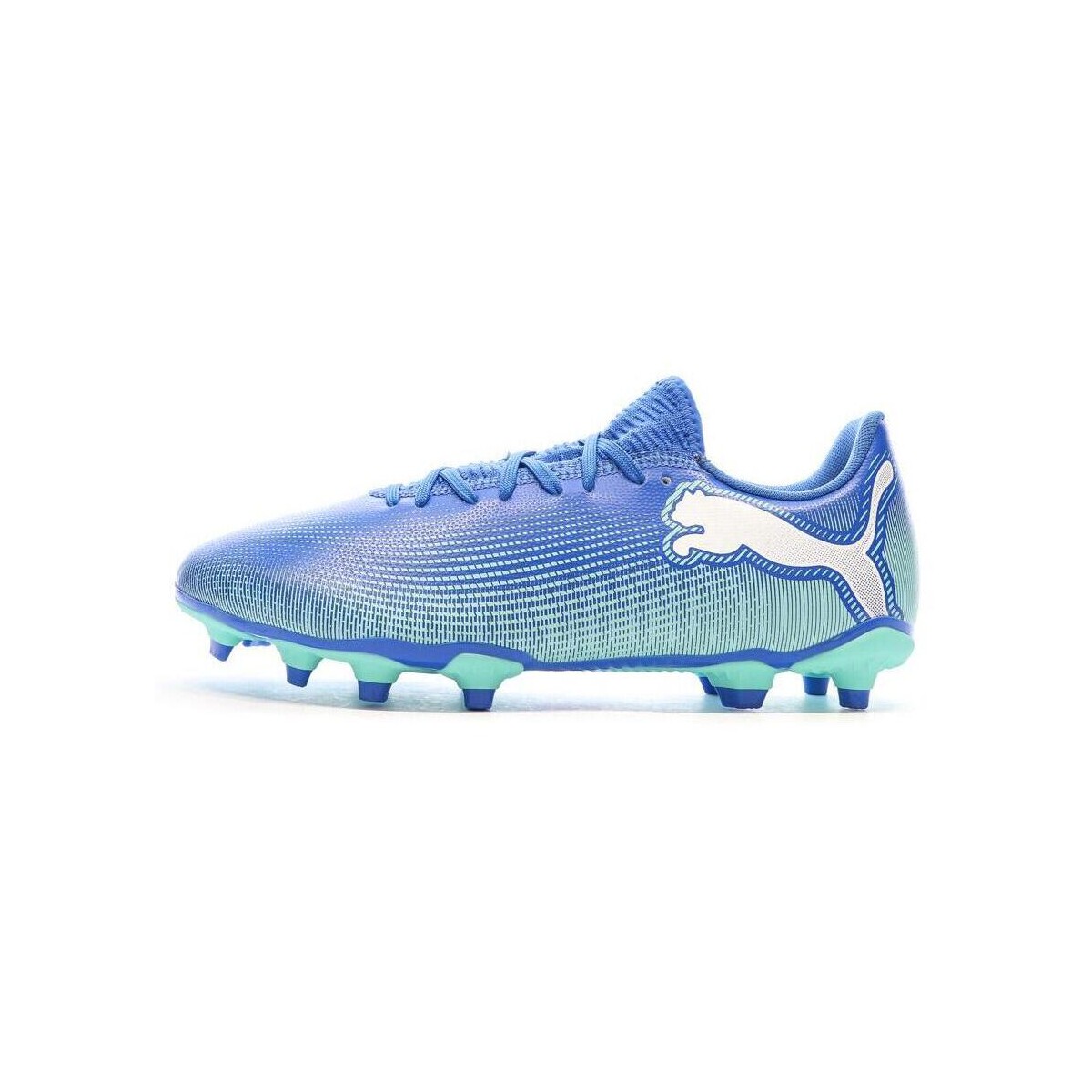 Schuhe Herren Fußballschuhe Puma 107939-01 Blau